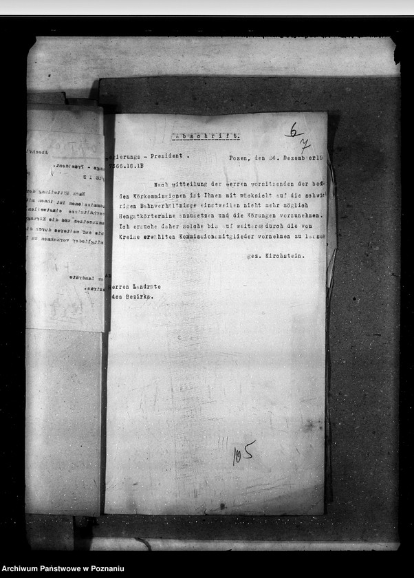 Obraz 11 z jednostki "Sprawy ogólne stadnin"