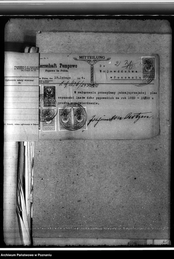 Obraz 6 z jednostki "Majętność /leśna/ Pępowo w powiecie gostyńskim"