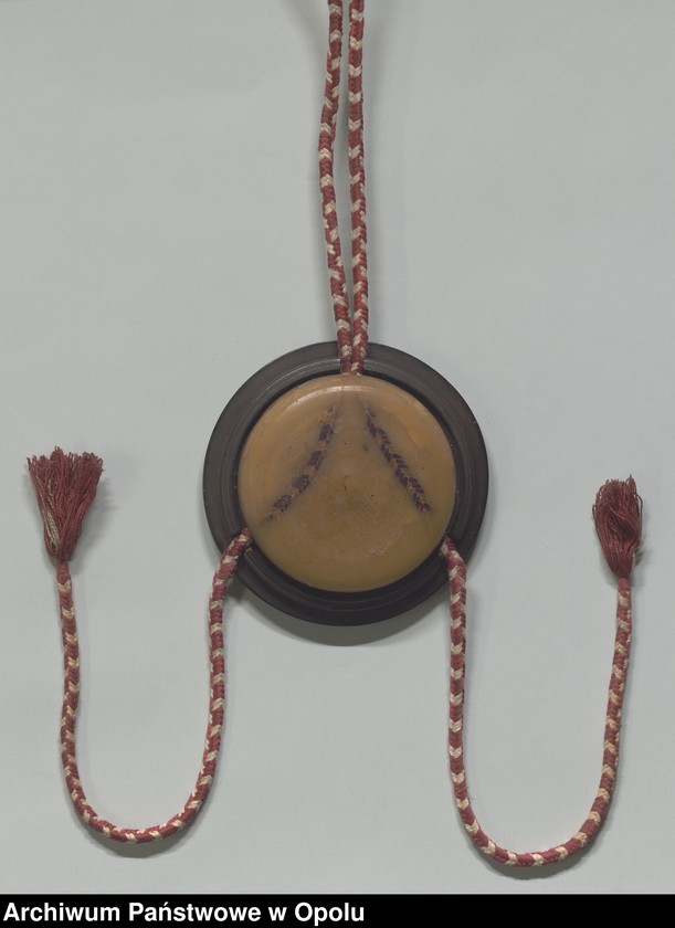 Obraz 16 z kolekcji "Futerał na dokumenty111"