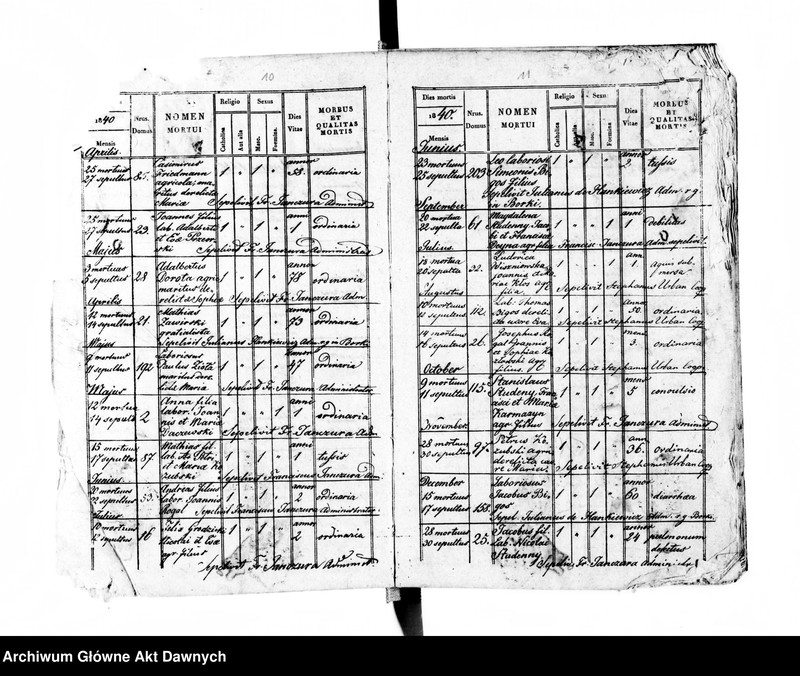 image.from.unit.number "Parafia: Czernielów Mazowiecki. Dekanat: Tarnopol. Księga metrykalna zgonów tylko dla wsi Borki Wielkie*."