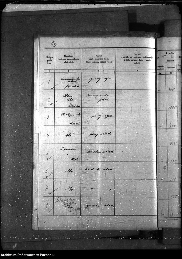 Obraz 17 z jednostki "Nosacizna - Czarnków"