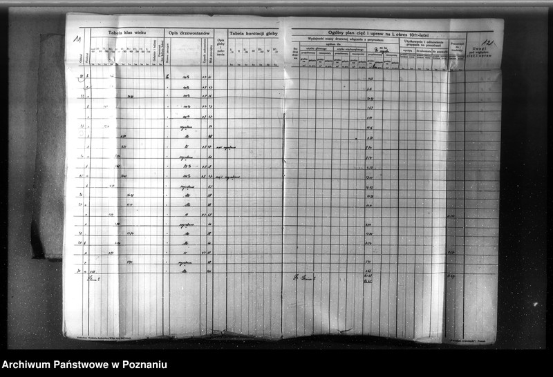 Obraz 11 z jednostki "Nadzór nad gospodarką w lasach majętności Nowy Dwór w powiecie nowotomyskim"