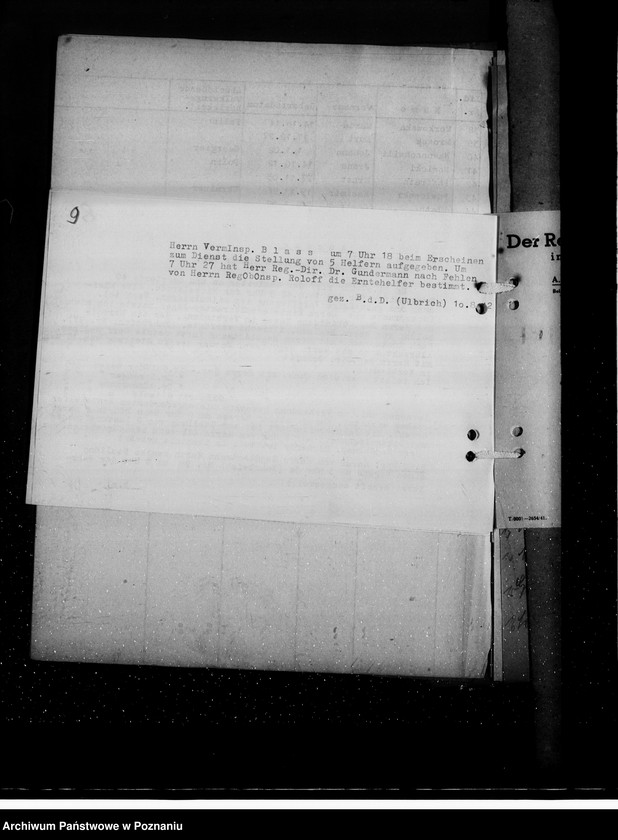 Obraz 13 z jednostki "Erntehilfe"