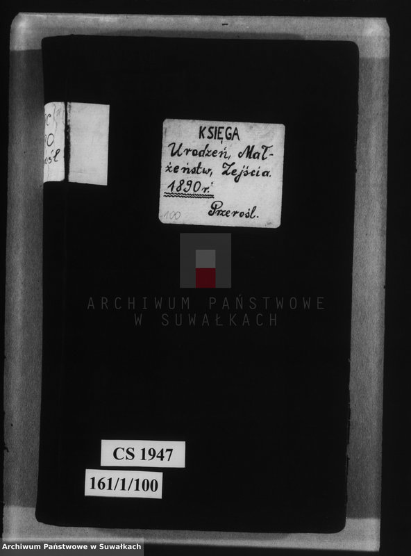 image.from.unit.number "Księga urodzeń, małżeństw i zejścia 1890 r. Przerośl"