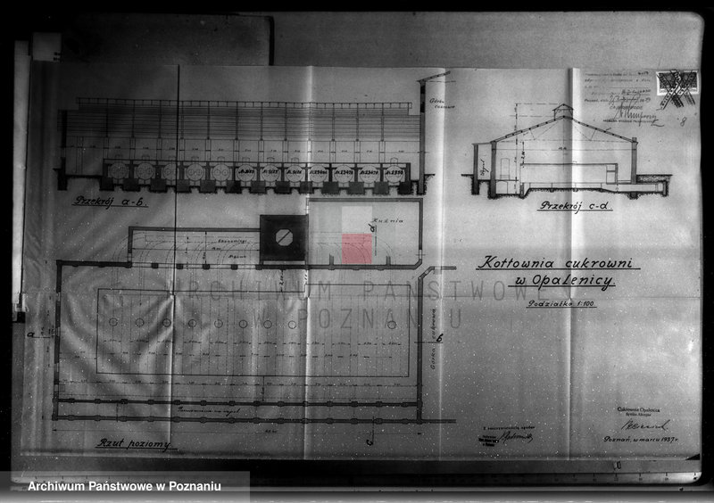 Obraz 13 z jednostki "Cukrownia Opalenica Spółka Akcyjna, nr woj. 6832"