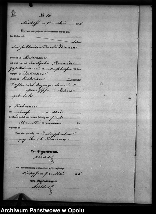 Obraz 19 z jednostki "Sterbe-Neben-Register Standesamts Kuhnau pro 1875"