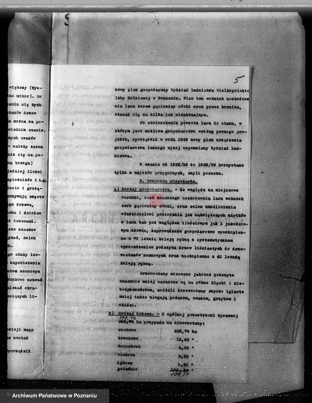 Obraz 11 z jednostki "Plan urządzenia gospodarstwa leśnego dla lasu majętności Lizie powiat nowotomyski"