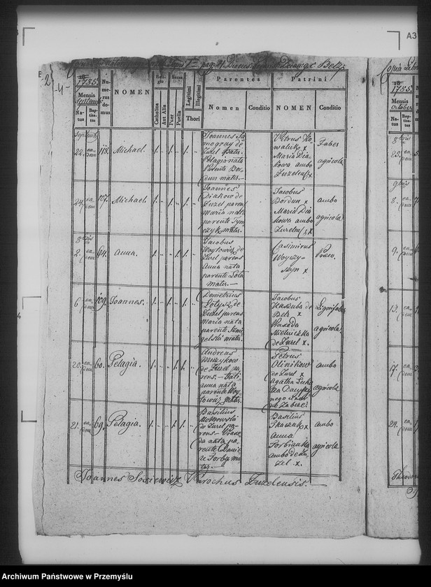 Obraz 8 z jednostki "[Kopie ksiąg metrykalnych parafii Żużel (dekanat Bełz)]"