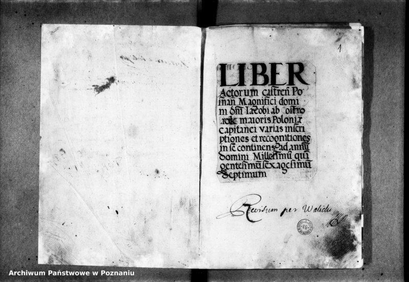 Obraz 5 z jednostki "Inscriptiones, relationes [inducta]"