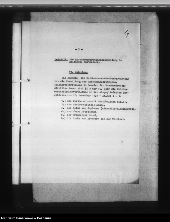 Obraz 8 z jednostki "Reichswassersrassen"