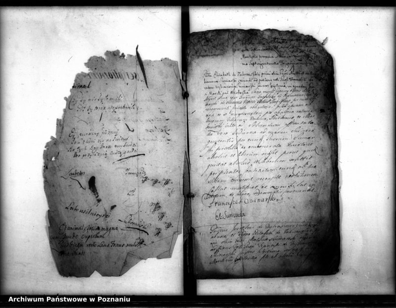 Obraz 4 z jednostki "Inscriptiones, resignationes [protocollon]"