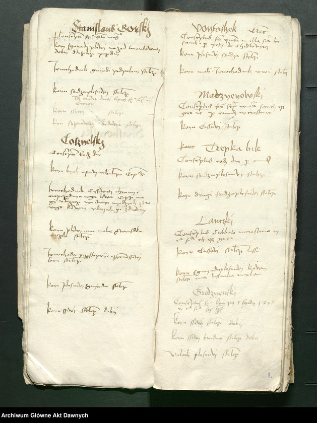 image.from.unit.number "Conscripcio curiensium et cubiculariorum Rmtis AD 1497 in Radom per Petrum Shidlo[wyeczki]."