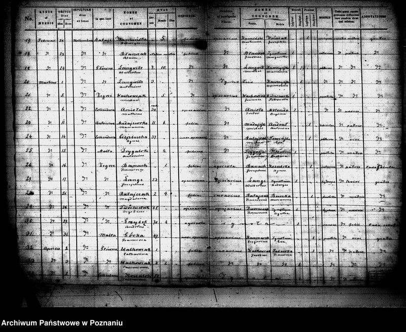 Obraz 3 z jednostki "Księga zgonów"