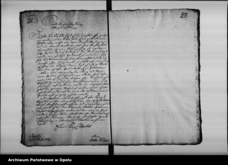 Obraz 19 z jednostki "Acta die Decreta Legitimationis natalium bei Zünften betreffend 1750-1795"