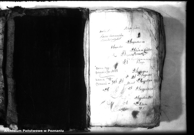 Obraz 3 z jednostki "Relationes [protocollon]"