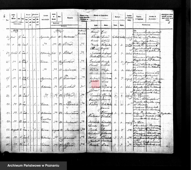 Obraz 6 z jednostki "Duplikat baptisatorum, copulatorum, mortuorum"
