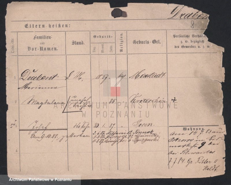 Obraz 10 z jednostki "Dornat - Drachowski"