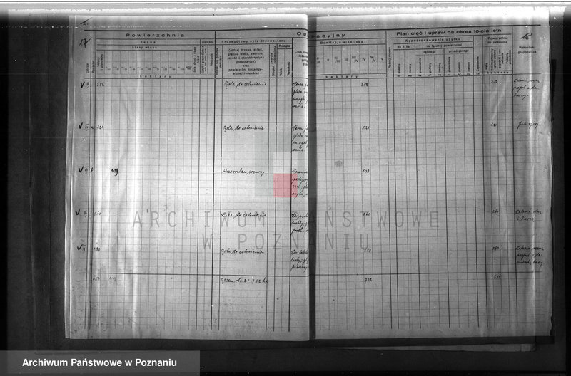 image.from.unit.number "Dodatkowy plan gospodarczy majątku Lutom w powiecie międzychodzkim"