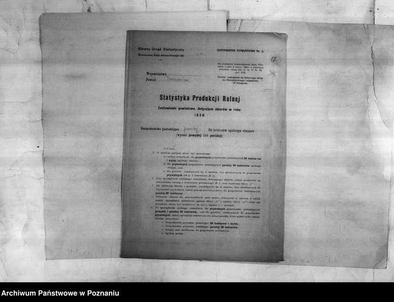 Obraz 18 z jednostki "/Statystyka produkcji rolnej - zestawienie powiatowe - Inowrocław/"