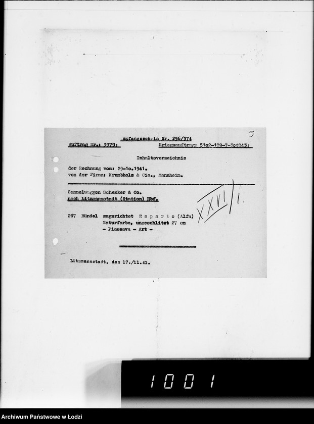 Obraz 9 z jednostki "Piassavabesen"