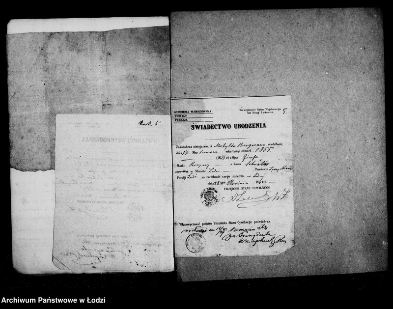 Obraz 8 z jednostki "j. w . nad nieletnimi Antonim, Marianną, rozyną, Matyldą, Gustawem rodzeństwem Bergman po zmarłym Józefie Bergman"