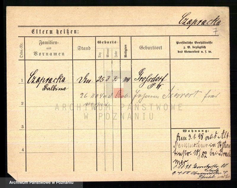 Obraz 9 z jednostki "Czapnik - Czarnecki"