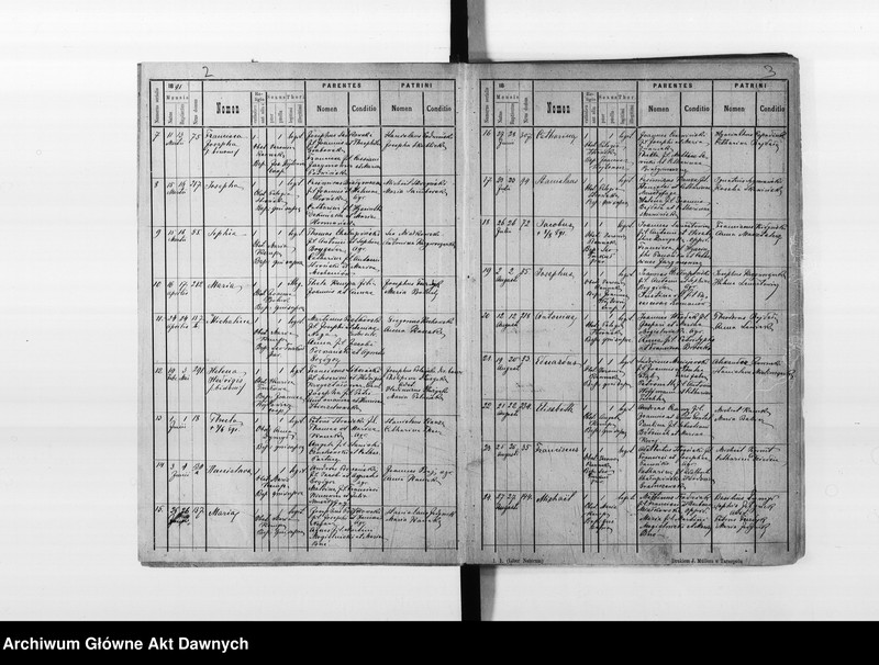 image.from.unit.number "Parafia: Dunajów. Dekanat: Brzeżany. Księga metrykalna urodzeń, ślubów i zgonów dla miasta Dunajów i wsi: Białe, Ciemierzyńce, Kropiwna*, Nowosiółka, Podusów, Poluchów, Potoczany, Rekszyn z Pisarówką, Wicyń*."