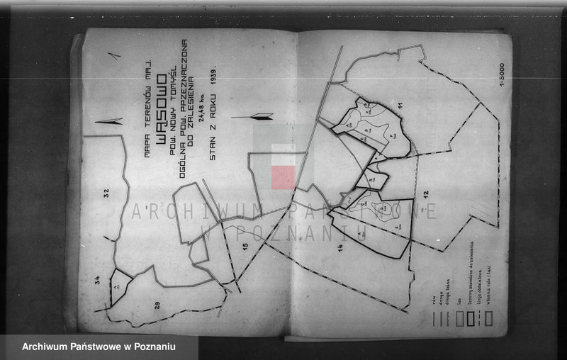Obraz 5 z jednostki "/Majętność leśna Wąsowo w powiecie nowotomyskim/"
