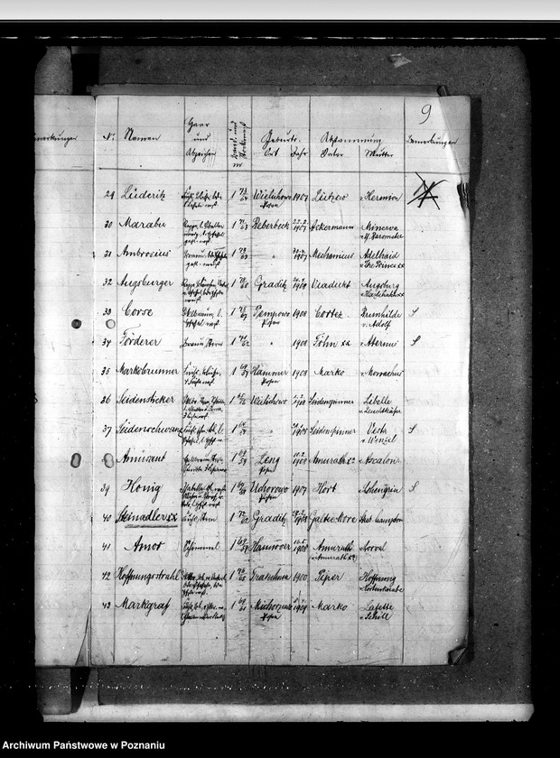 Obraz 13 z jednostki "Sprawy stadnin Zarząd Stadnin Sieraków"