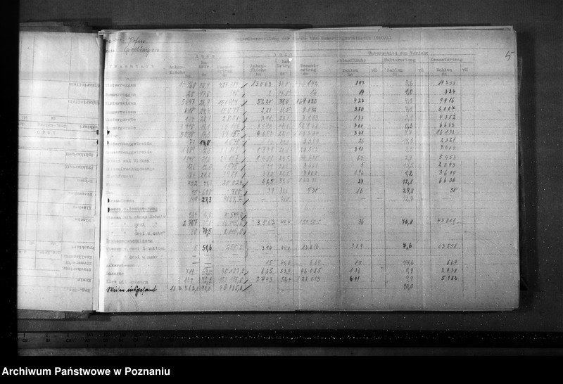 Obraz 9 z jednostki "Porównanie zbiorów zboża, słomy i siana"