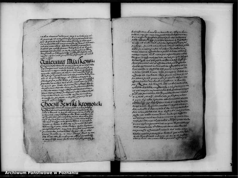 Obraz 10 z jednostki "Inscriptiones, relationes [inducta]"