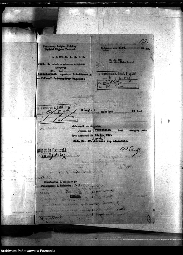 Obraz 16 z jednostki "Nosacizna - Działdowo"