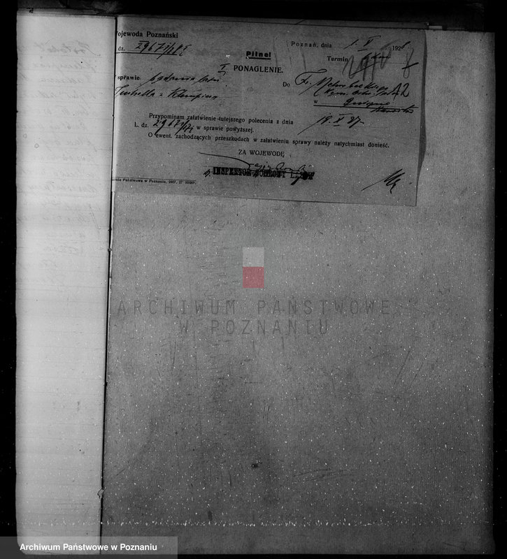 Obraz 16 z jednostki "Nadzór nad lasami/ majątku Klempicz powiatu czarnkowskiego"