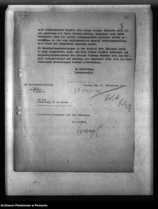 Obraz 16 z jednostki "Trichinose, Typhus"