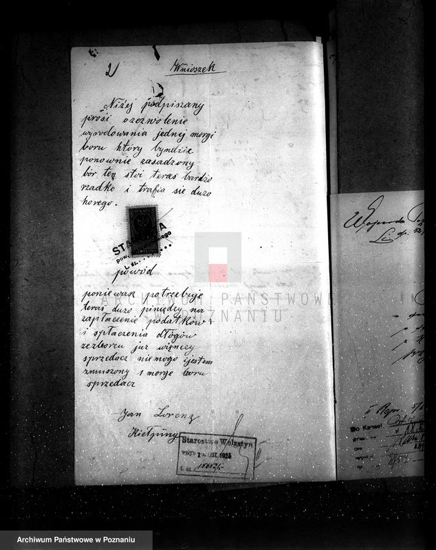 Obraz 7 z jednostki "Majętność leśna Kiełpiny powiat wolsztyński"