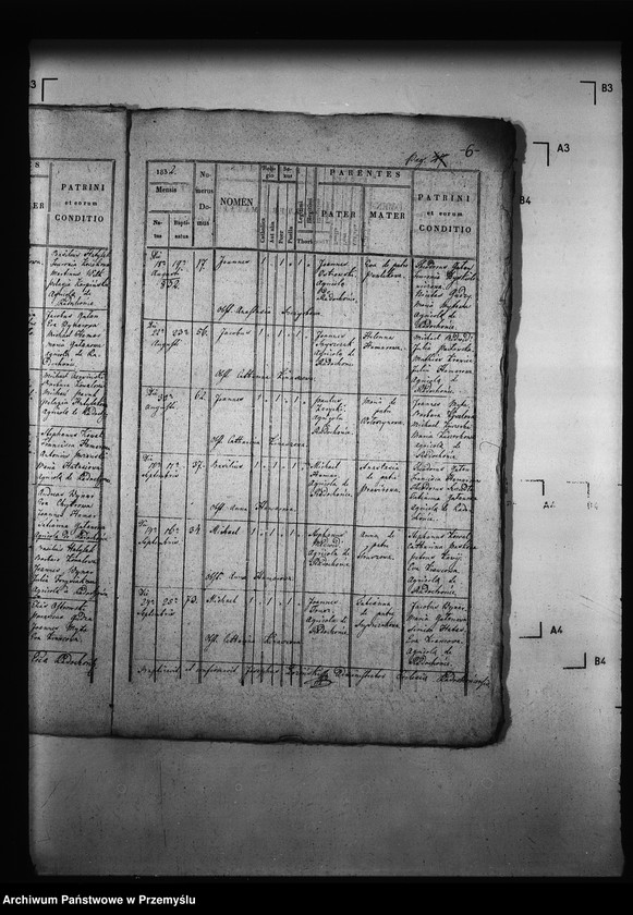 Obraz 10 z jednostki "[Kopie ksiąg metrykalnych parafii Radochońce z filią Horysławice (dekanat Niżankowice)]"