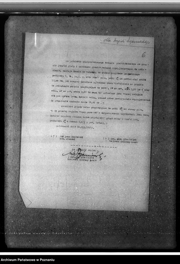 Obraz 10 z jednostki "Las majętności Dalabuszki powiat gostyński"