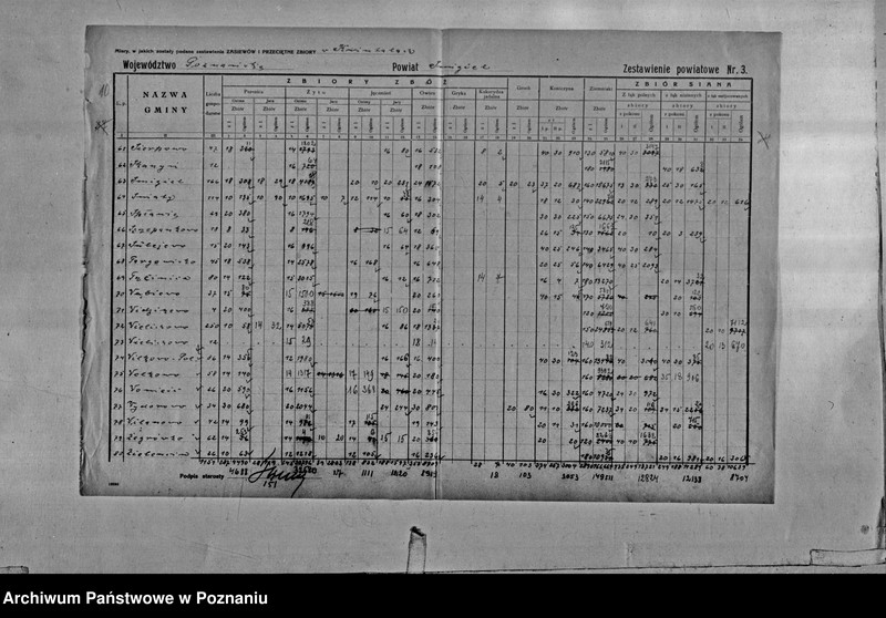 Obraz 12 z jednostki "/Statystyka produkcji rolnej - zestawienie powiatowe - Śmigiel"