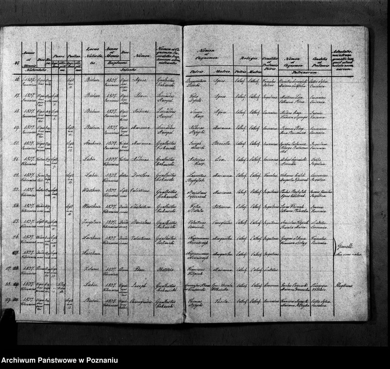 Obraz 13 z jednostki "Duplicatum copulatorum, baptisatorum, mortuorum"