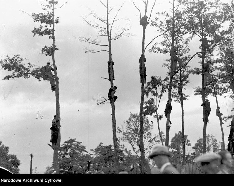 image.from.unit.number "Mecz piłki nożnej TS Wisła Kraków - Chelsea FC na stadionie Wisły Kraków rozegrany z okazji 30-lecia Towarzystwa Sportowego Wisła Kraków"