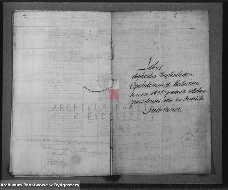 image.from.unit.number "Liber duplicatus : Baptisatorum, Copulatorum et Mortuorum de anno 1855 Parochiae Catholicae Pacostensis sitae in Districtu Szubiniensi"