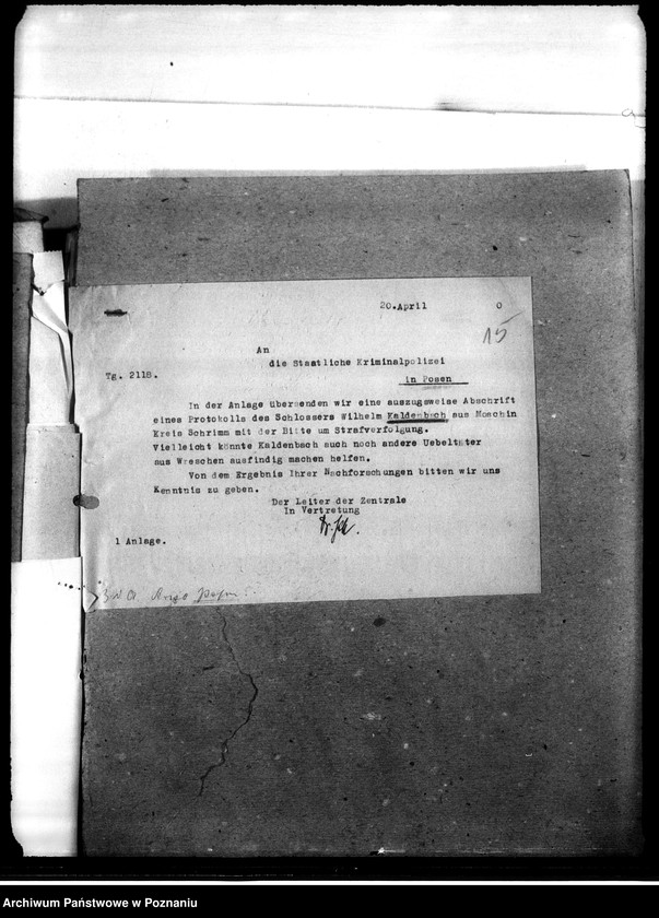 Obraz 19 z jednostki "Korespondencja w sprawie miejscowych Niemców, którzy zginęli w 1939 roku K - Z"