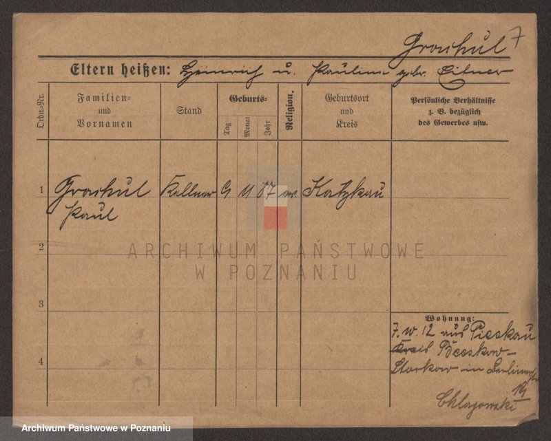 Obraz 9 z jednostki "Grage - Gralinski"