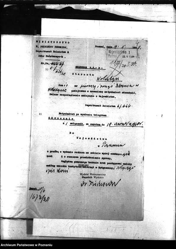 Obraz 8 z jednostki "Nosacizna - Wolsztyn"