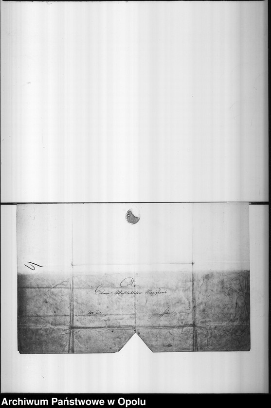 Obraz 8 z jednostki "Acta des Magistrats zu Oppeln betreffend das Testament des verstorbenen Tanzlehrer Friedrich Richter"