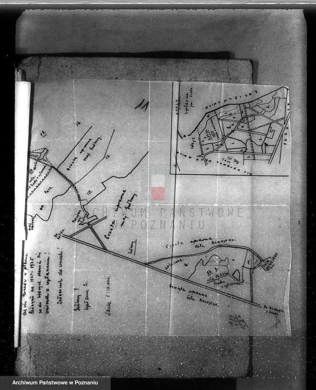 Obraz 15 z jednostki "Nadzór nad gospodarką w lasach majętności Gułtowy powiat średzki"