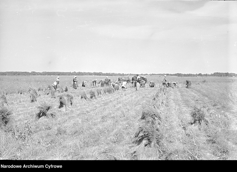 image.from.object.part1 image.from.object.part2