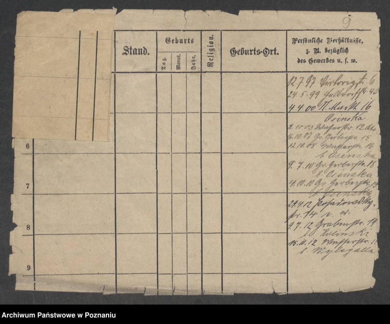 Obraz 11 z jednostki "Marciniak (żonaci i wdowy)"