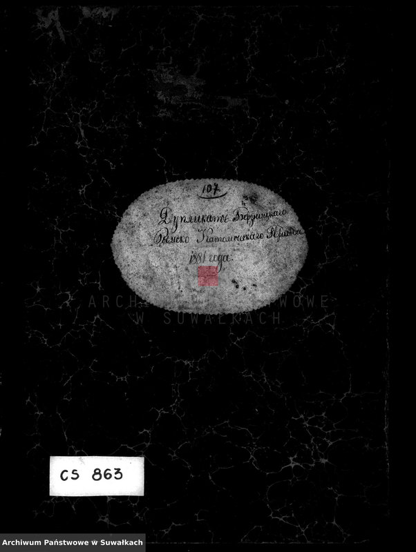 image.from.unit.number "Duplikat Berznickago Rimsko- Katoličeskago Prichoda 1881 goda."