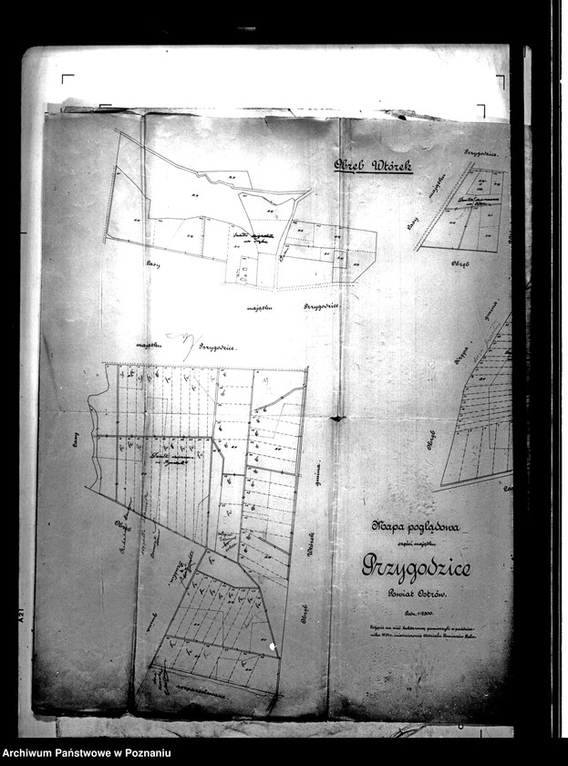 Obraz 6 z jednostki "Tymczasowy rejestr pomiarowy części majątku Przygodzice powiatu ostrowskiego"